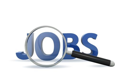 Job Search